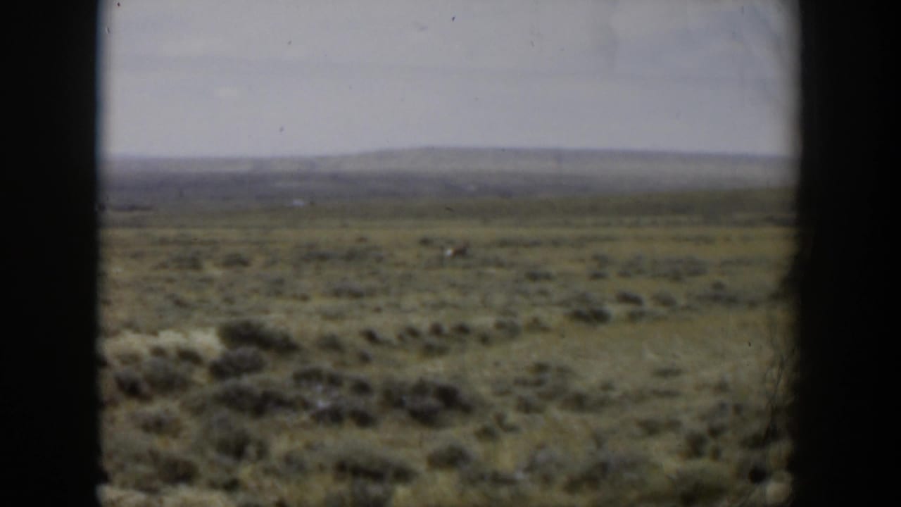 Open grassy Wyoming landscape seen through dark window-frame edges, with a tiny distant animal in the field.