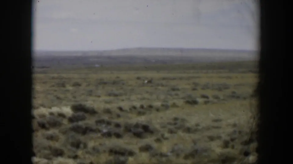 1951 8mm home-movie frame of open Wyoming grassland under a pale sky, viewed through dark window-frame edges with a small distant animal.