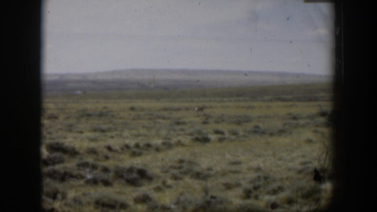 Broad field and low hills seen through a dark vertical window frame, with a small animal barely visible in the distance.