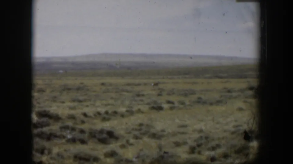 Soft 1951 Wyoming 8mm frame showing a broad field, distant hills, and a tiny animal shape across the open range.