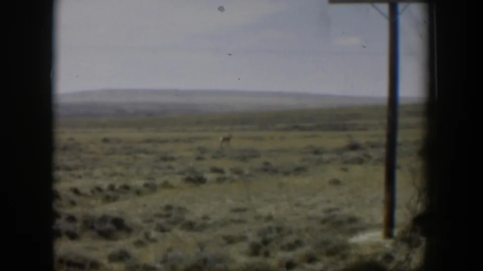 1951 Wyoming home-movie view of open grassland and distant hills, with a utility pole appearing near the right edge of the frame.