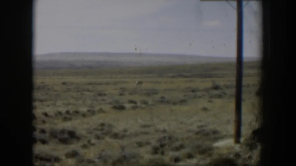 Final 1951 Wyoming 8mm frame of open field, low hills, and a right-side utility pole, with soft focus and visible film texture.