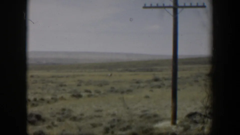 1951 Wyoming home-movie still of a grassy plain seen through a window, with a utility pole and soft distant horizon.