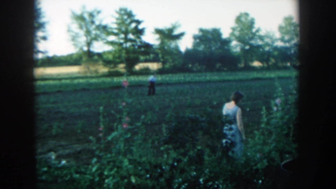 Woman stands near garden plants while a man walks in a field beyond her.