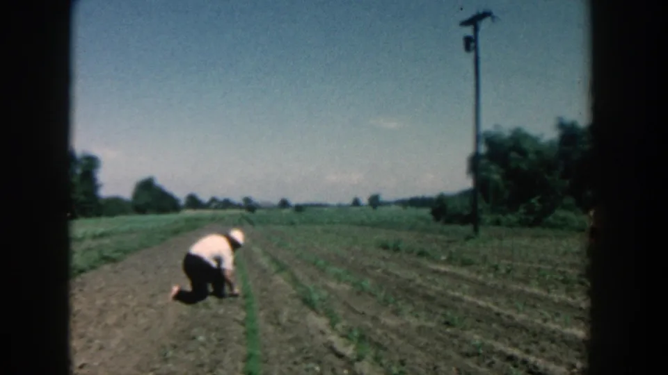 1957 Michigan 8mm frame showing a farmer kneeling in soil rows, with open farmland, trees, and a utility pole in the background.