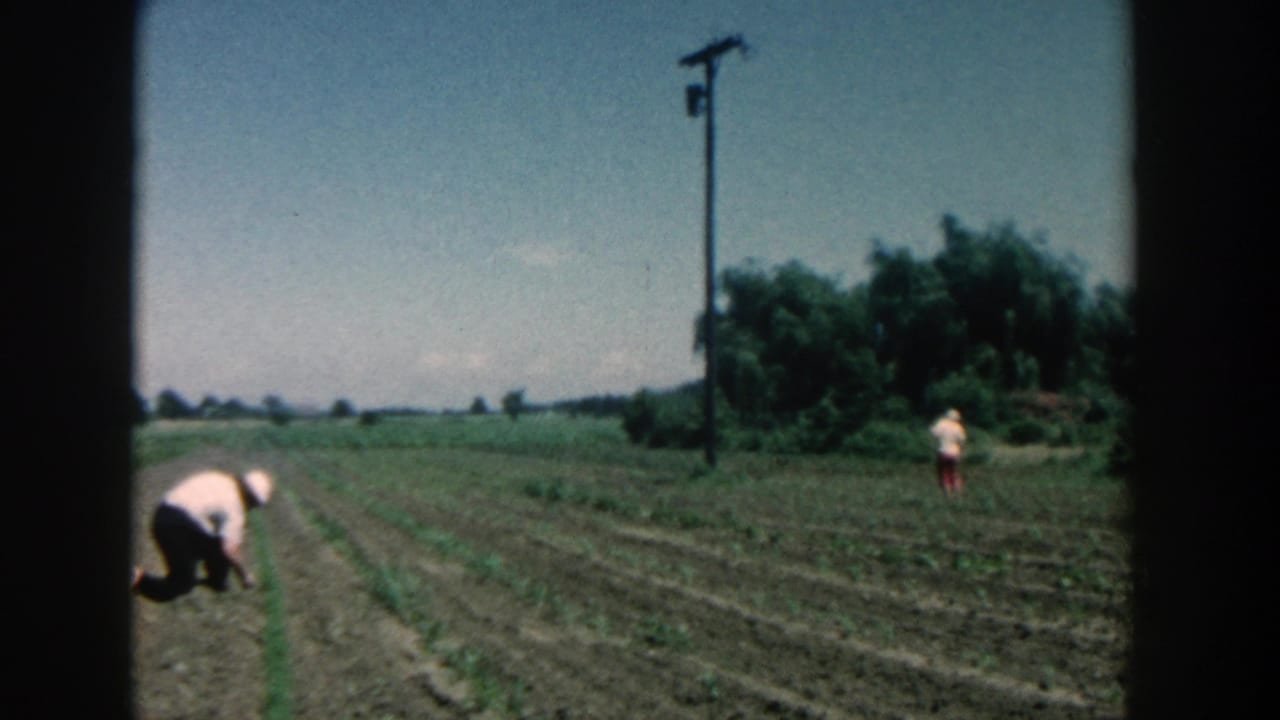 A kneeling farmer works in soil rows while a woman stands farther across the field.