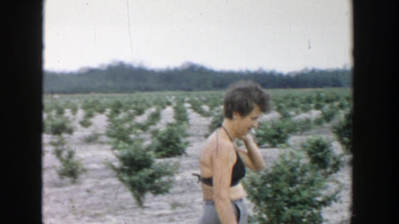 Woman in a black halter top walks beside rows of young plants.