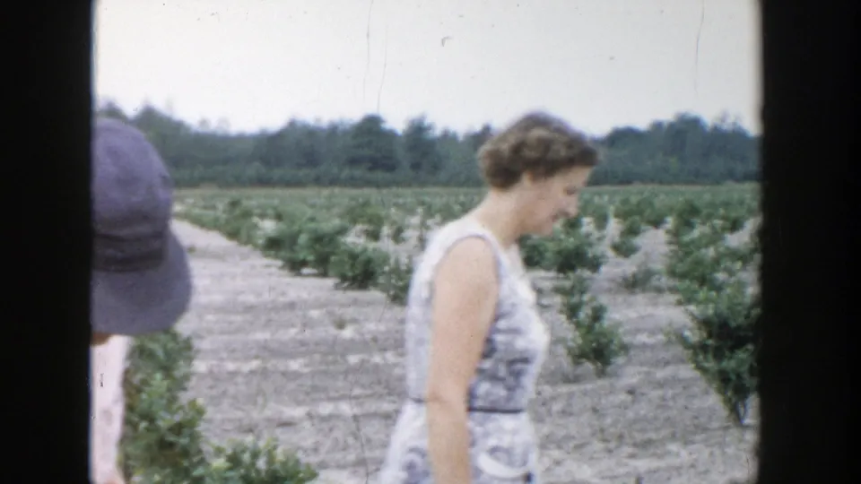 A woman in a light patterned dress crosses the cultivated field, with another adult partly visible at the edge of the 8mm frame.