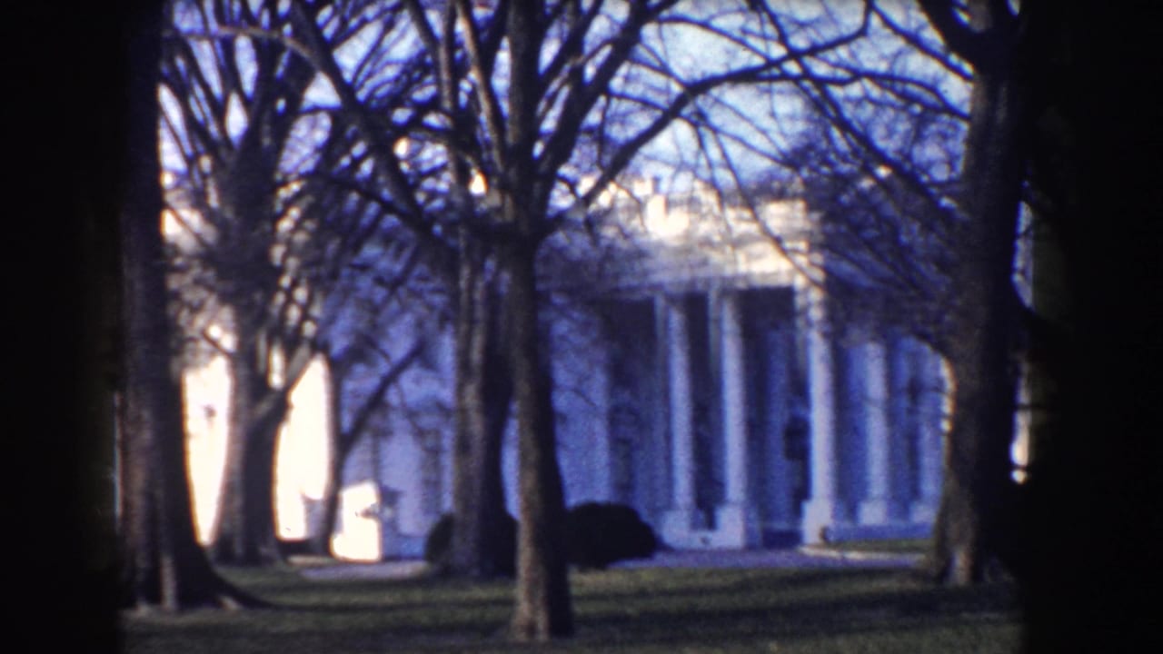 White House viewed through trees with lawn in the foreground.