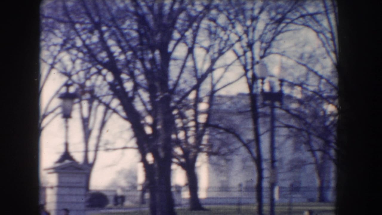 Leafless trees and street lamps in front of a large pale building behind fencing.