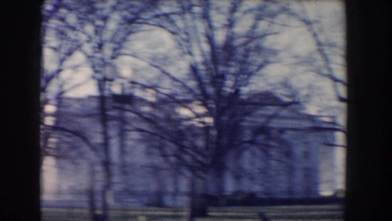 Bare tree branches and a pale building seen through motion blur.