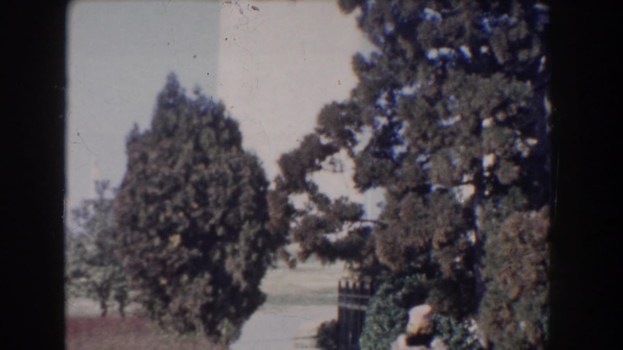 1960 Washington, D.C. home-movie frame showing a tall white monument partly obscured by trees under a pale sky.