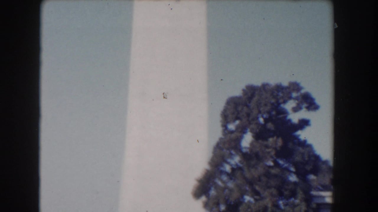 White monument shaft with treetop at the right edge against pale sky.