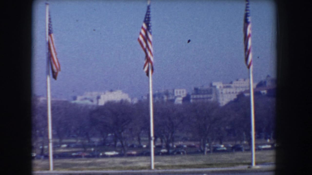 American flags on poles across a lawn with trees and distant buildings under a hazy sky.