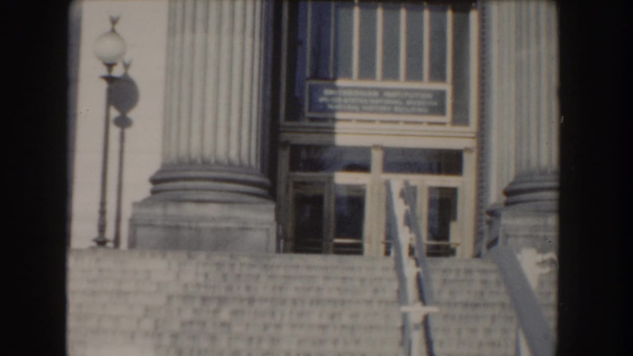 Stone steps and columned entrance of a classical public building with lamps and signage.