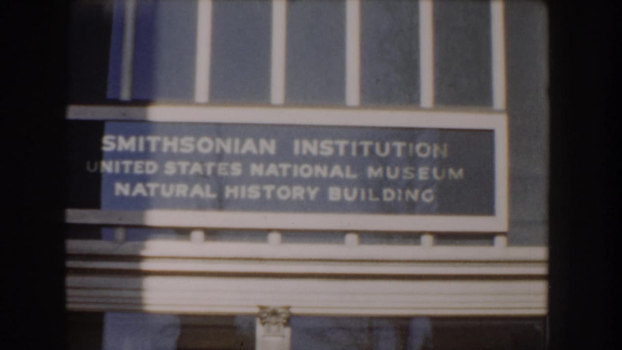 1960 Washington DC 8mm frame showing the Smithsonian Institution United States National Museum Natural History Building sign on the facade.