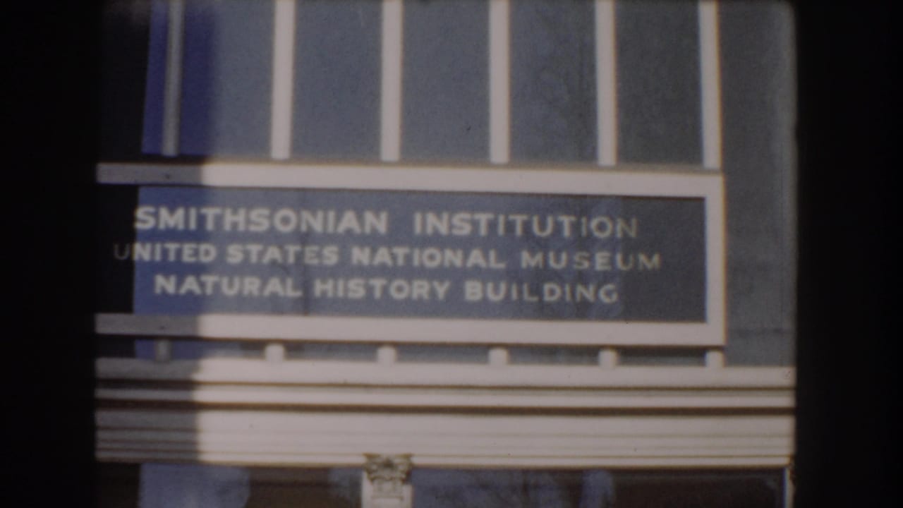 1960 Washington DC frame with the Smithsonian Institution museum sign centered against windows and the Natural History Building facade.