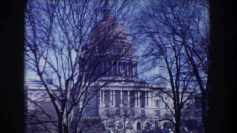 Washington, DC Capitol exterior in a blue-tinted 8mm frame, partially obscured by winter tree branches.