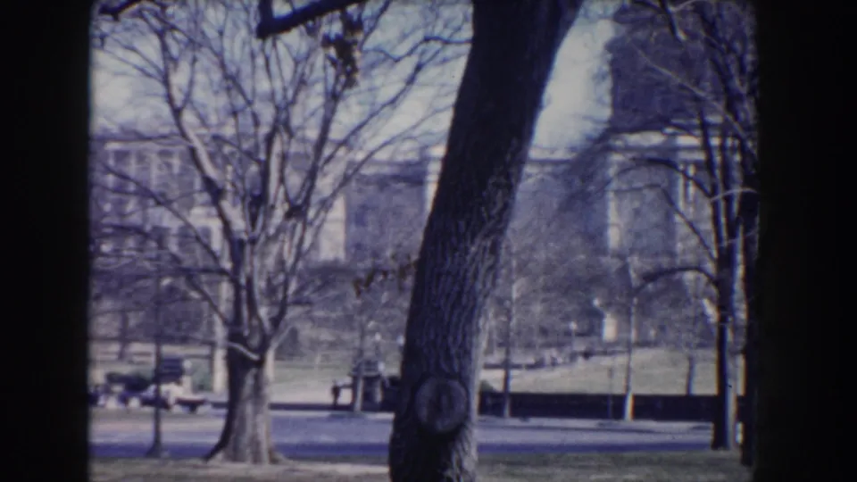 Washington DC 8mm frame of leafless park trees, benches, paths, and a distant public building beyond the grounds.