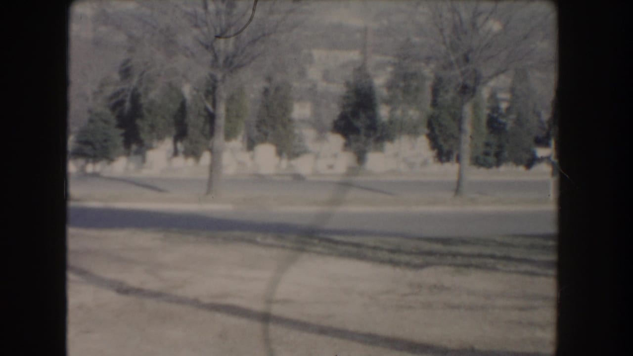 A Washington, DC cemetery view shows white headstones across a lawn with bare trees and evergreens under clear daylight.