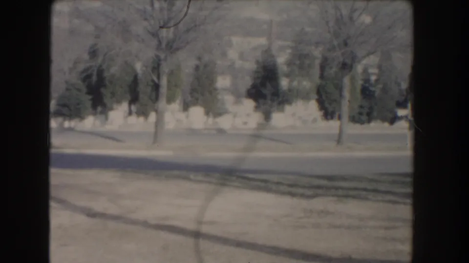 A Washington, DC cemetery view shows white headstones across a lawn with bare trees and evergreens under clear daylight.