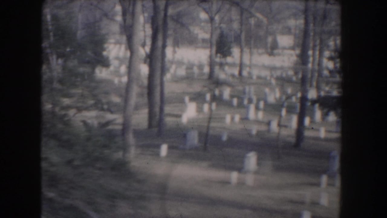 Rows of white cemetery headstones among bare trees and open lawn.