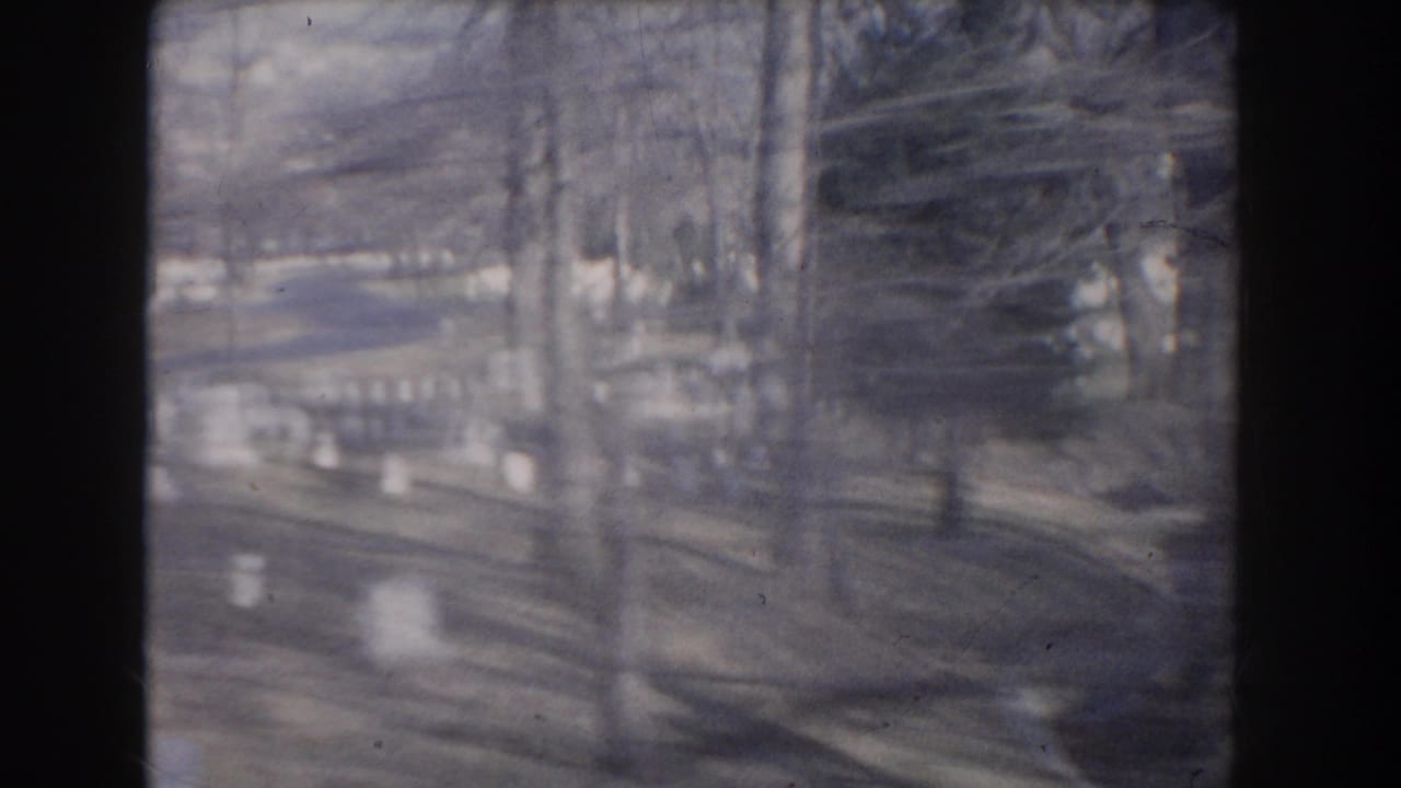 Curving cemetery road with white headstones and trees on both sides.