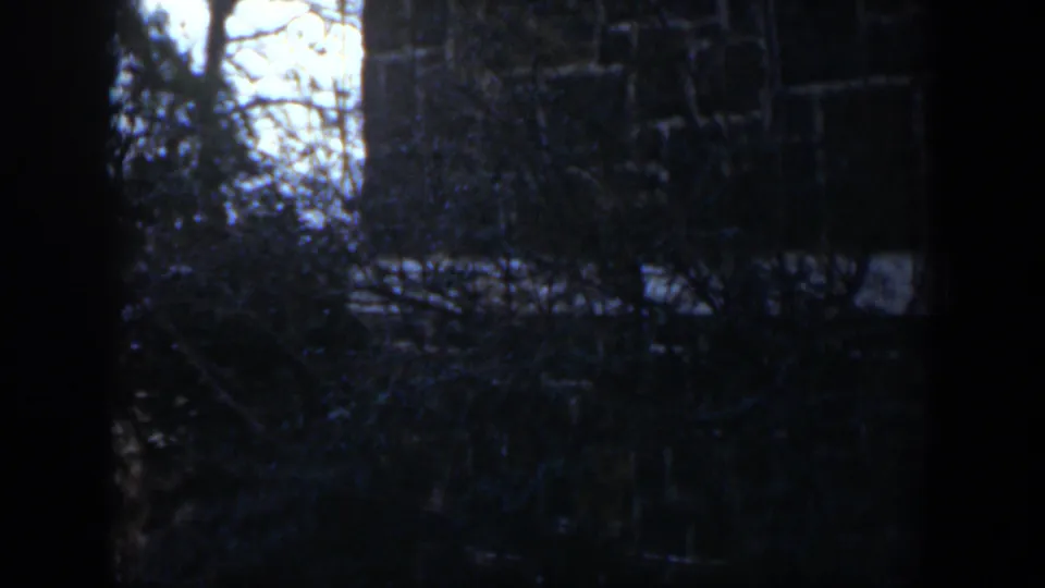 A dark yard view from the 1951 Cuba home movie shows bare tree branches and a bright gap beyond the foreground shadows.