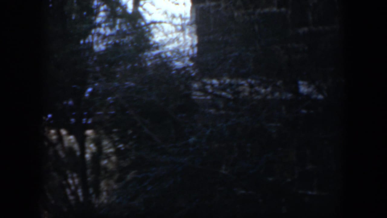 In 1951 Cuba home-movie footage, trees and deep shade partly obscure a stone exterior wall and dark openings.