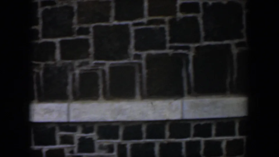 A central dark trunk interrupts a 1951 Cuba view of a stone exterior wall, pale banding, and small dark window openings.