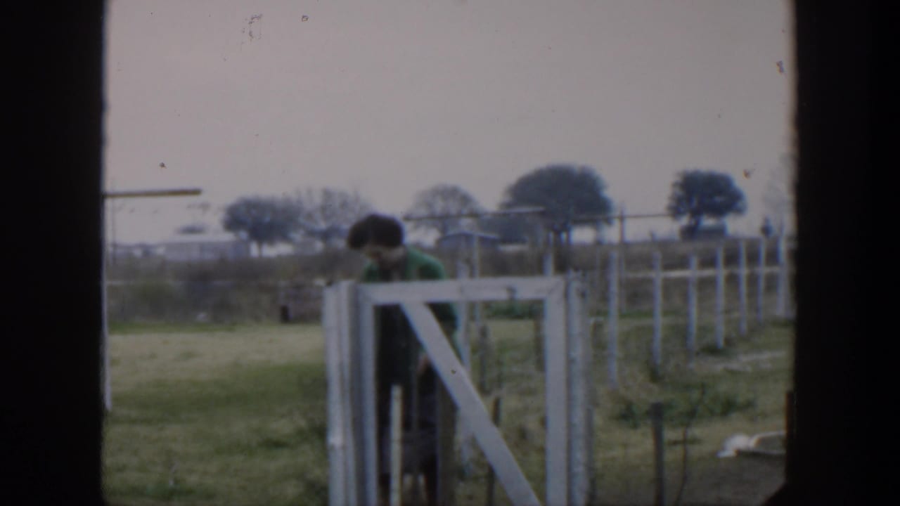 Woman remains beside the white gate with fencing and trees in the background.