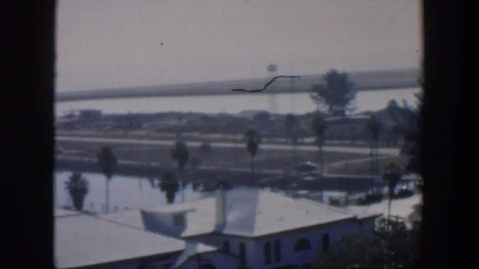 1951 Cuba 8mm frame showing a soft waterfront city view with white roofs, palms, roadways, water, and a distant tower.