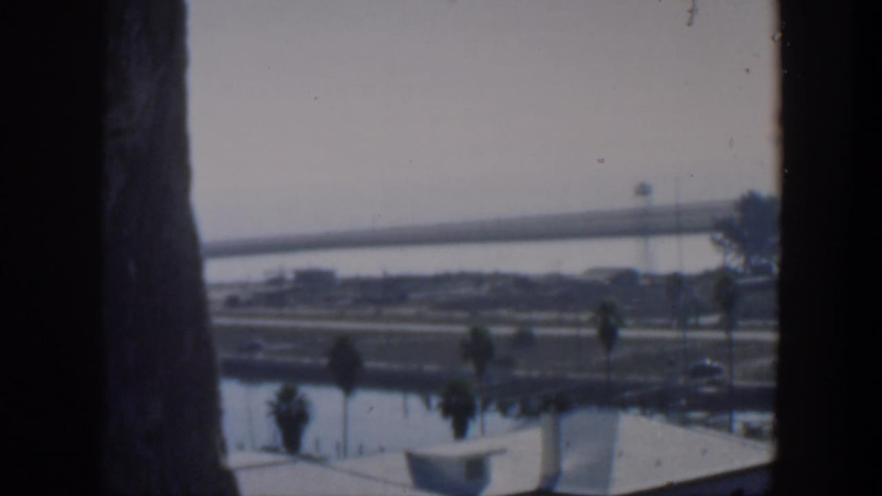 Soft view of a waterfront road, palms, low white buildings, and distant embankment through dark vertical framing.