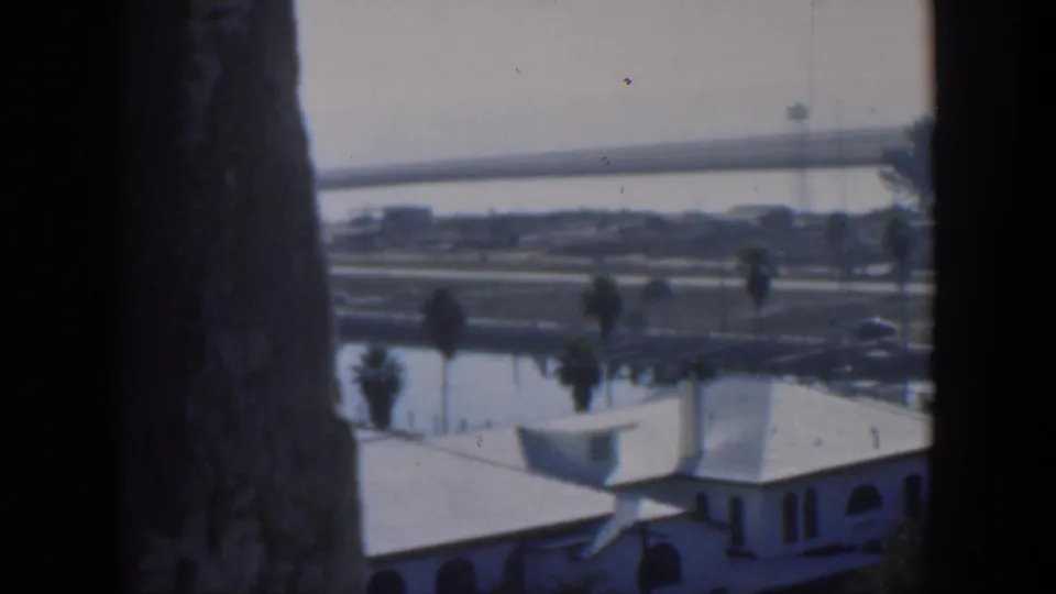 1951 Cuba 8mm view of a waterfront city scene, with white roofs, palms, roadways, water, and a foreground trunk or frame edge.