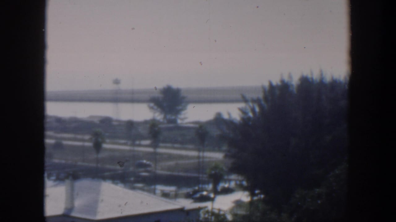 Window-framed view of palms, low buildings, road, parked cars, water, and distant land.