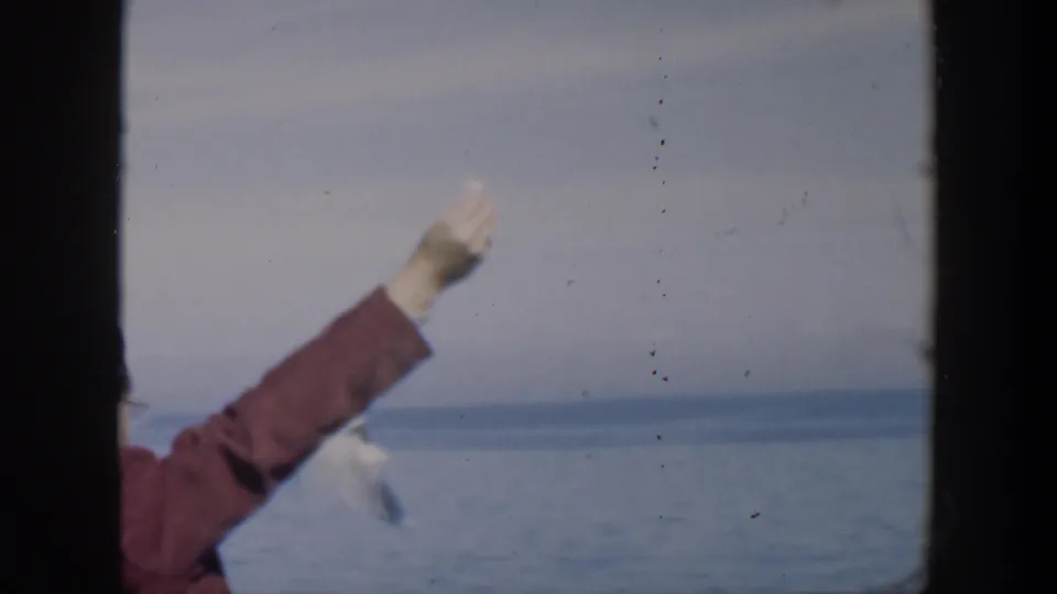 A raised arm in a red sleeve reaches toward the ocean in the supplied Cuba 1951 home-movie clip, with water and hazy sky behind it.