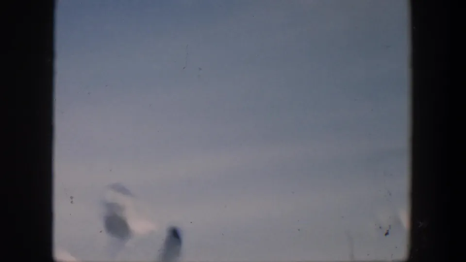 Birds pass through a pale sky over open water in the final 8mm frame from the Cuba 1951 home-movie clip.