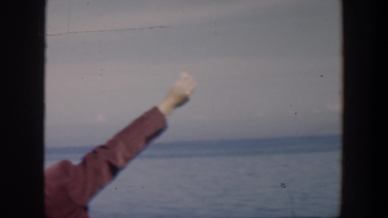 In 1951 Cuba home-movie footage, a maroon-sleeved arm reaches upward as a gull flies over the ocean horizon.