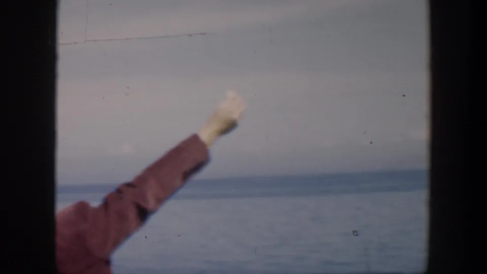 In 1951 Cuba home-movie footage, a maroon-sleeved arm reaches upward as a gull flies over the ocean horizon.
