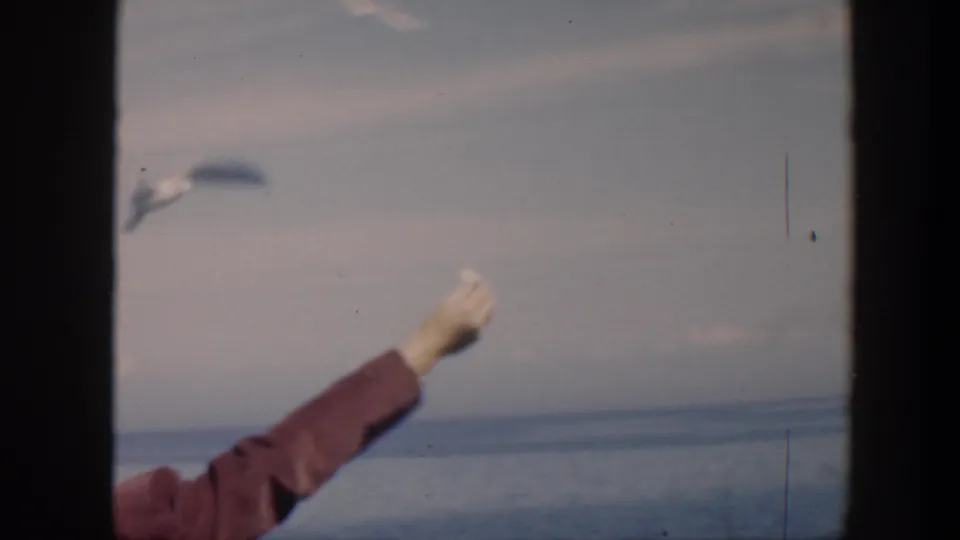 A gull swoops near a raised hand in soft 8mm color, with the ocean horizon behind the feeding gesture.