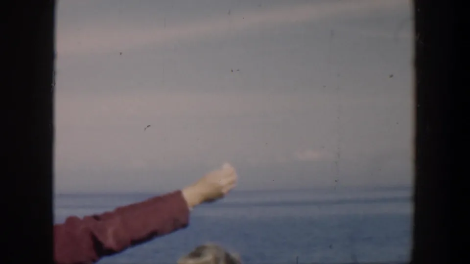 The feeding gesture continues as a gull blurs past the lower edge of a Cuban seaside home-movie frame.