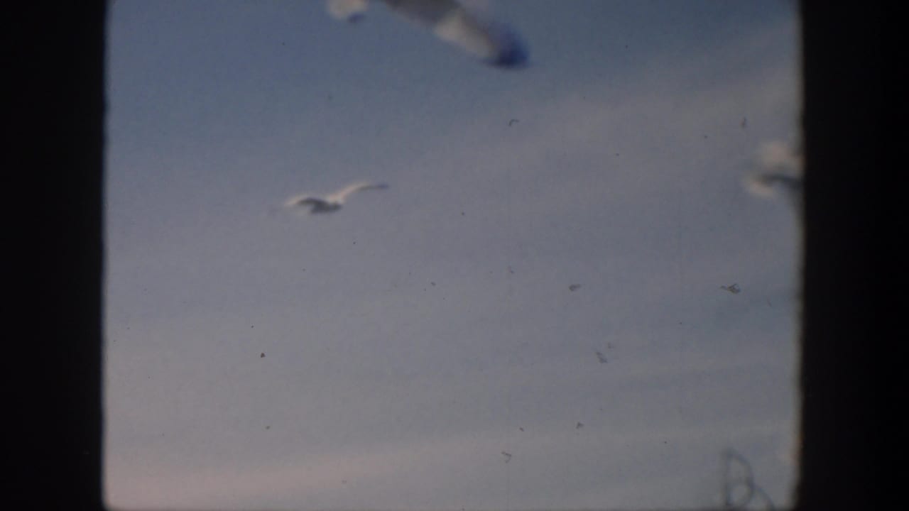 Several gulls flying across a pale blue sky with thin clouds and dark film borders.