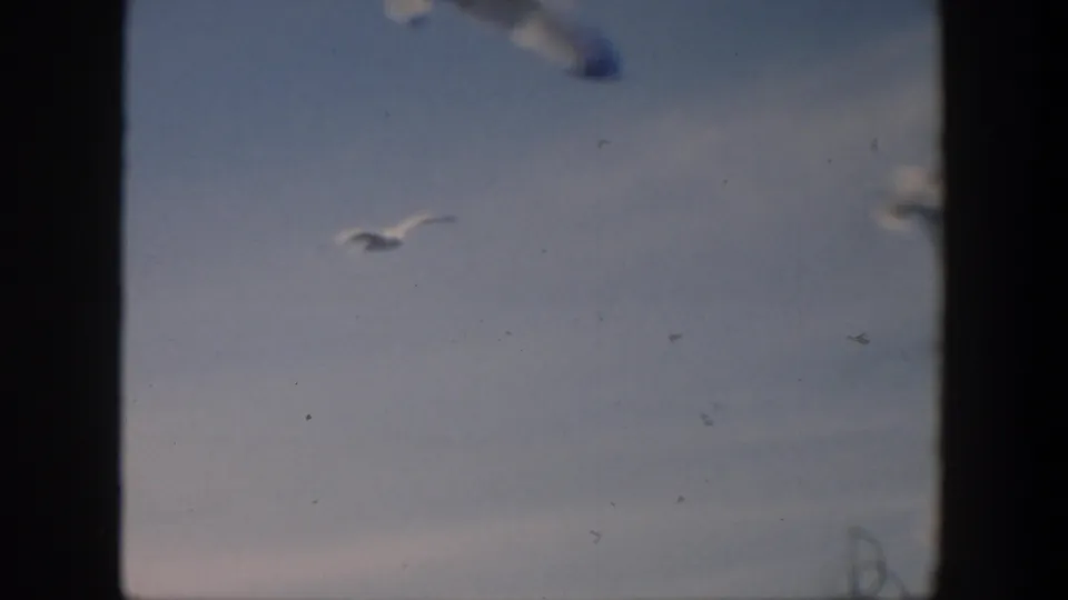 1951 Cuba 8mm frame showing gulls crossing a hazy blue sky, with soft focus, dust specks, and dark scan borders.