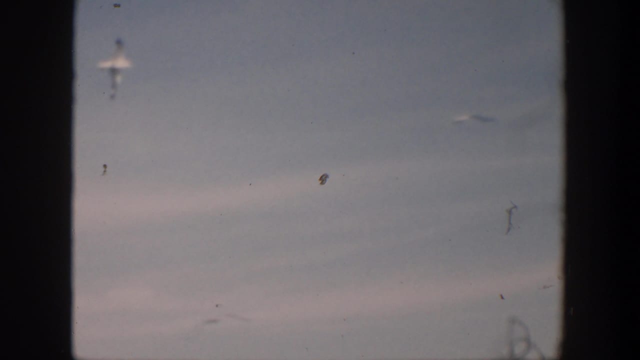Small gulls appear against a hazy sky, with dark vertical film borders at the sides.
