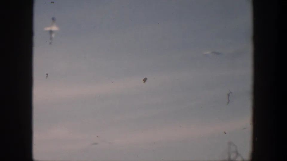 1951 Cuba 8mm frame with scattered gulls in a muted blue-gray sky, visible dust, blur, and scan-edge borders.