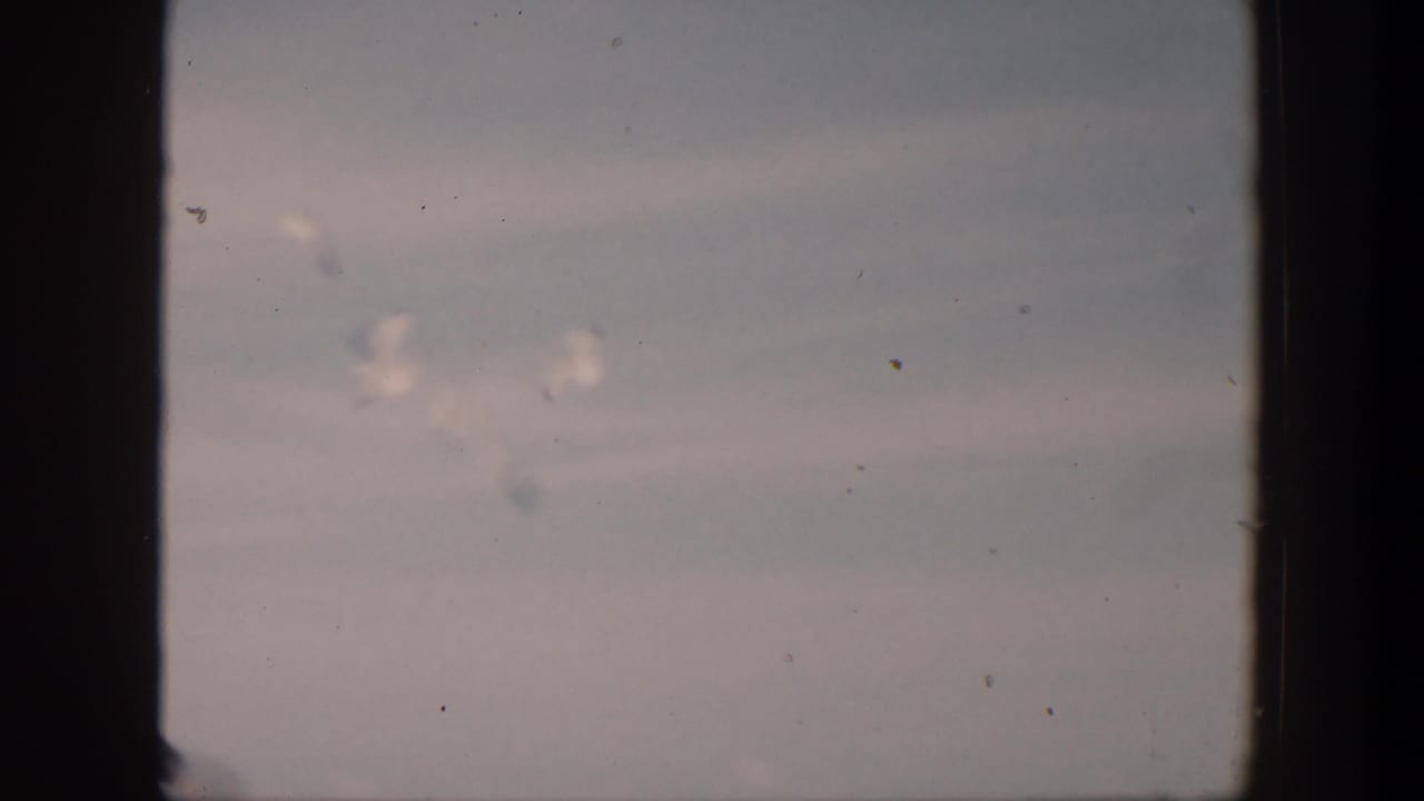 1951 Cuba 8mm frame with seagulls in a pale sky above the sea, viewed through dark film-frame edges.
