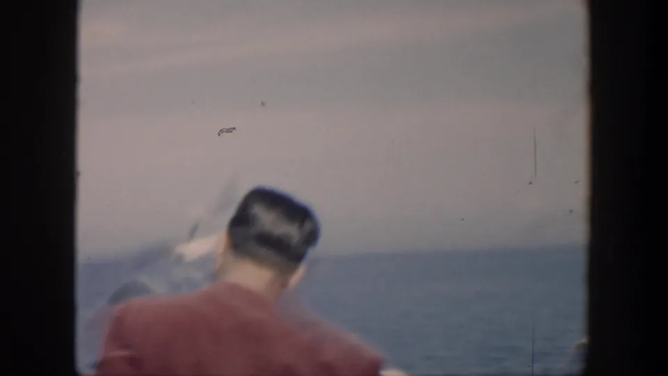 1951 Cuba 8mm frame of a man in a maroon shirt seen from behind near open water, with a gull blurred in motion.