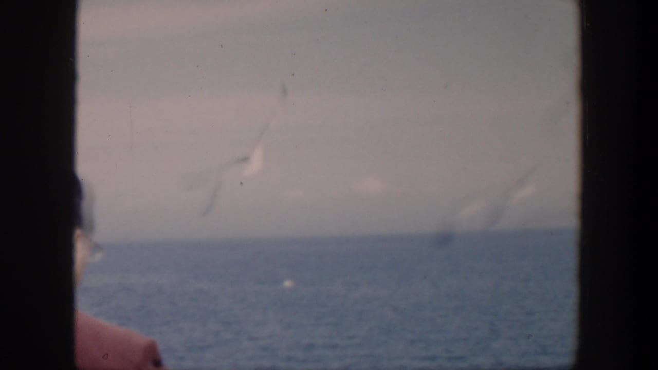 1951 Cuba 8mm frame showing a partial man in red near the ocean horizon, with soft focus and visible film gate edges.