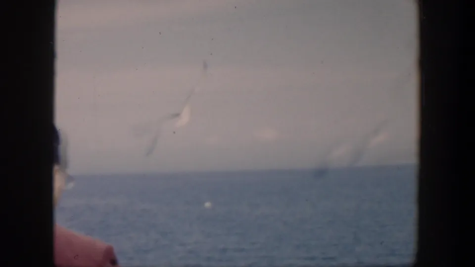 1951 Cuba 8mm frame showing a partial man in red near the ocean horizon, with soft focus and visible film gate edges.