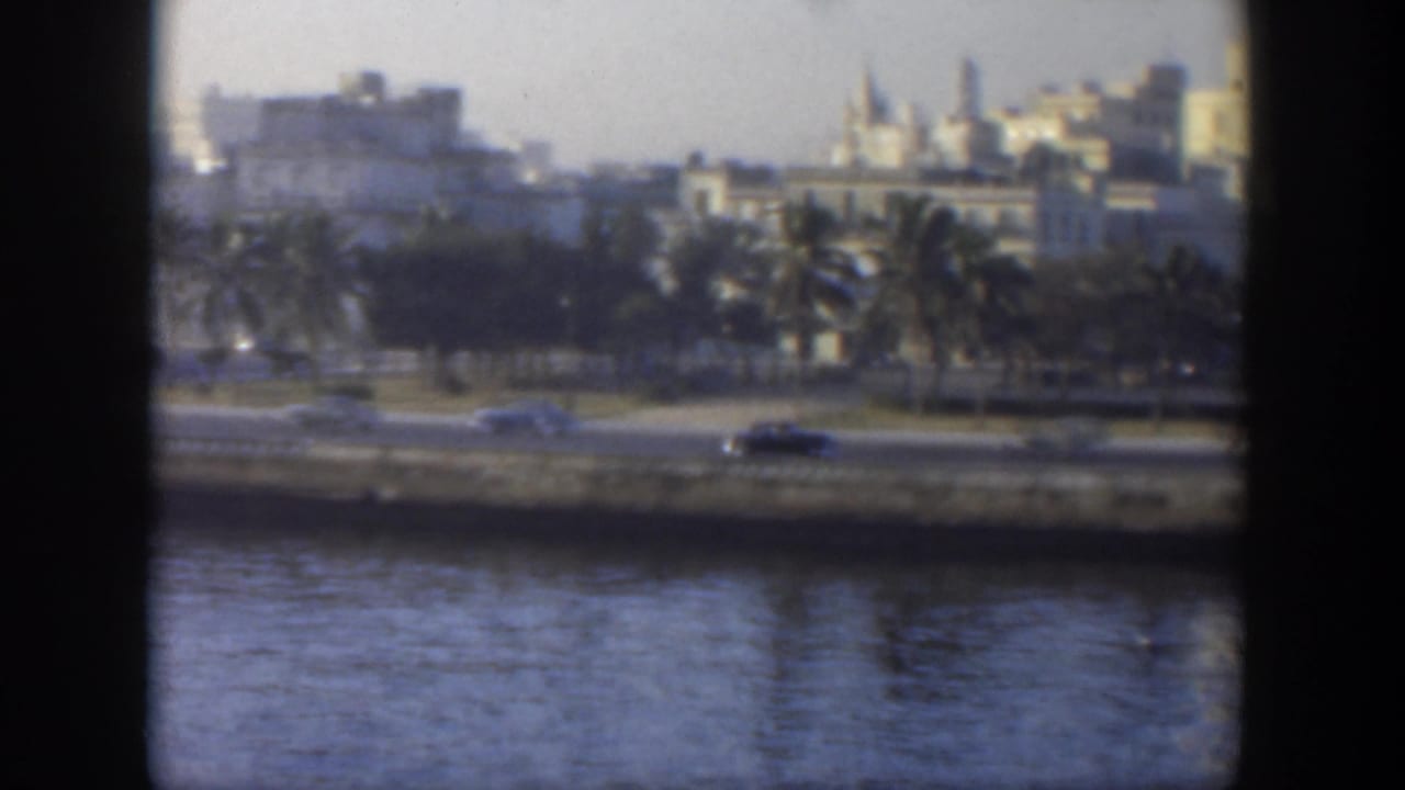 1951 Cuba 8mm view across water toward a palm-lined coastal road with cars and distant urban buildings.
